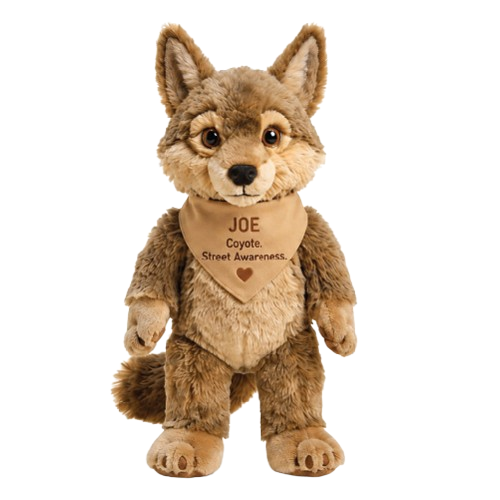 Joe the Coyote